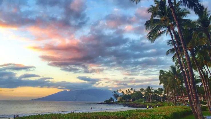 Ho'Olei At Grand Wailea Otel Wailea  Dış mekan fotoğraf